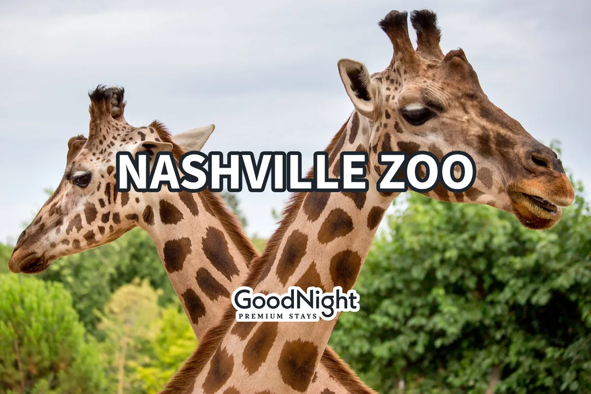 This image shows a close-up of giraffes grazing in a lush, green setting, likely taken at the Nashville Zoo. Families can be seen in the background, enjoying an educational and joyful outing.